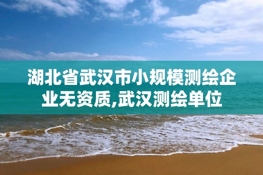 湖北省武漢市小規模測繪企業無資質,武漢測繪單位