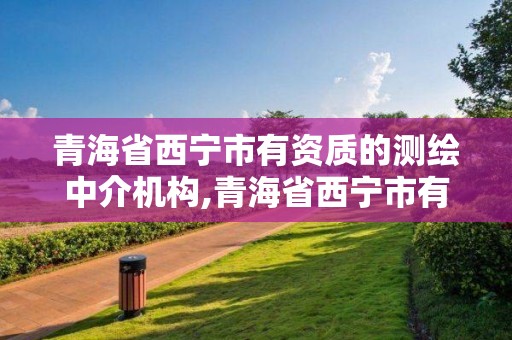 青海省西寧市有資質的測繪中介機構,青海省西寧市有資質的測繪中介機構有幾家。