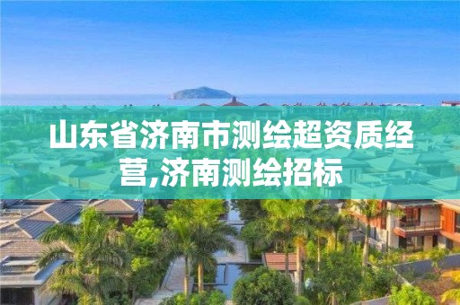 山東省濟南市測繪超資質經營,濟南測繪招標