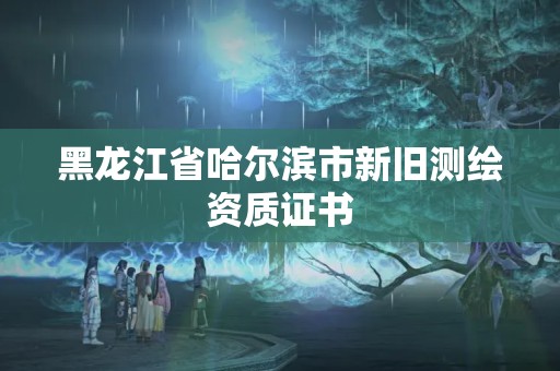 黑龍江省哈爾濱市新舊測繪資質證書