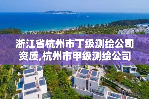 浙江省杭州市丁級測繪公司資質,杭州市甲級測繪公司