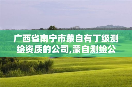 廣西省南寧市蒙自有丁級測繪資質的公司,蒙自測繪公司招聘。