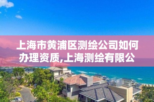 上海市黃浦區(qū)測繪公司如何辦理資質(zhì),上海測繪有限公司