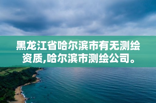 黑龍江省哈爾濱市有無測繪資質(zhì),哈爾濱市測繪公司。