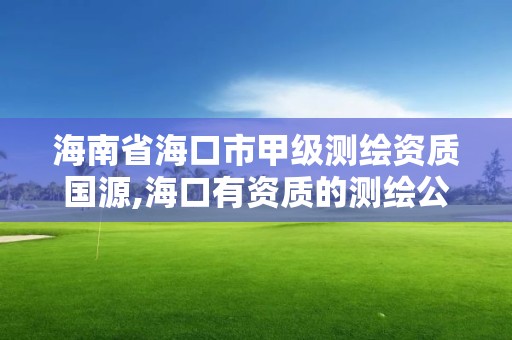 海南省海口市甲級測繪資質國源,海口有資質的測繪公司