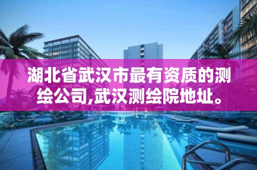 湖北省武漢市最有資質的測繪公司,武漢測繪院地址。