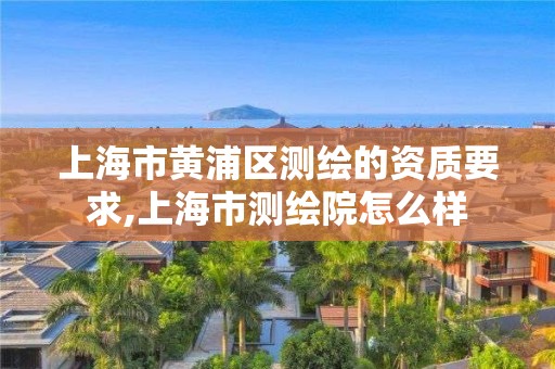 上海市黃浦區測繪的資質要求,上海市測繪院怎么樣