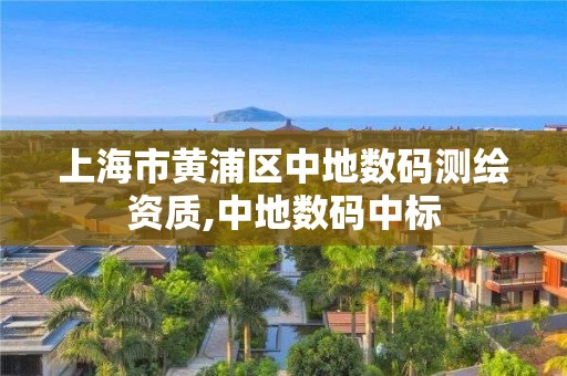 上海市黃浦區(qū)中地數(shù)碼測繪資質(zhì),中地數(shù)碼中標(biāo)