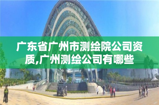 廣東省廣州市測繪院公司資質,廣州測繪公司有哪些