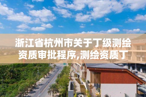 浙江省杭州市關于丁級測繪資質審批程序,測繪資質丁級是什么意思。