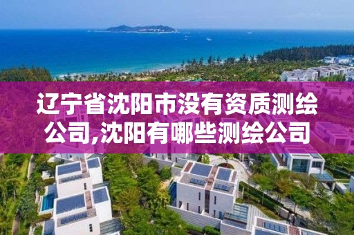 遼寧省沈陽市沒有資質(zhì)測繪公司,沈陽有哪些測繪公司招聘