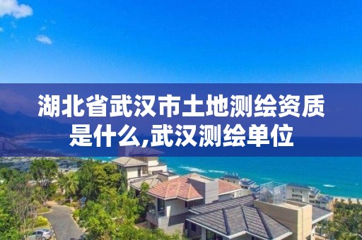 湖北省武漢市土地測繪資質是什么,武漢測繪單位