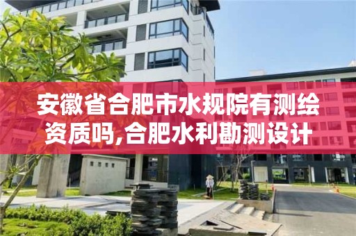 安徽省合肥市水規院有測繪資質嗎,合肥水利勘測設計院。