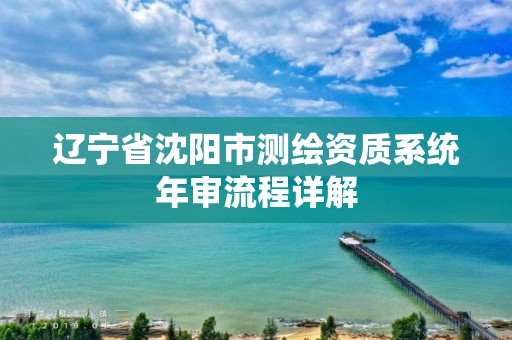 遼寧省沈陽市測繪資質系統年審流程詳解