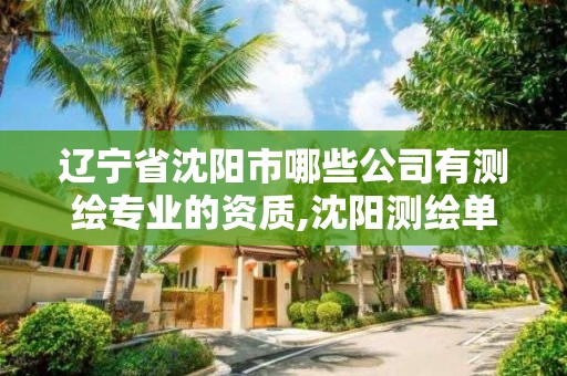 遼寧省沈陽市哪些公司有測繪專業的資質,沈陽測繪單位招聘。