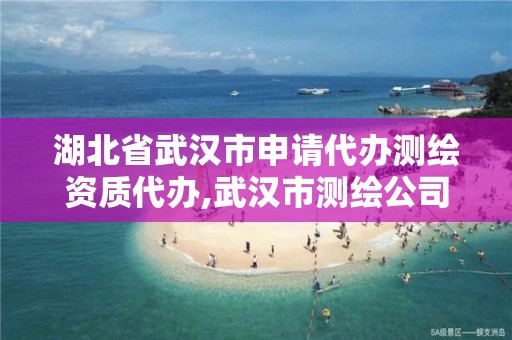 湖北省武漢市申請代辦測繪資質代辦,武漢市測繪公司。