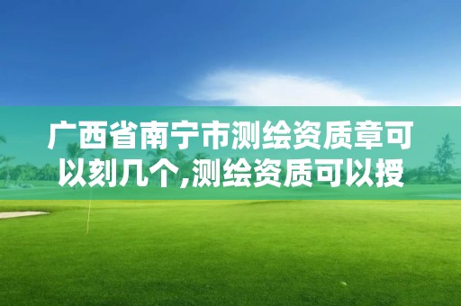 廣西省南寧市測繪資質章可以刻幾個,測繪資質可以授權嗎。