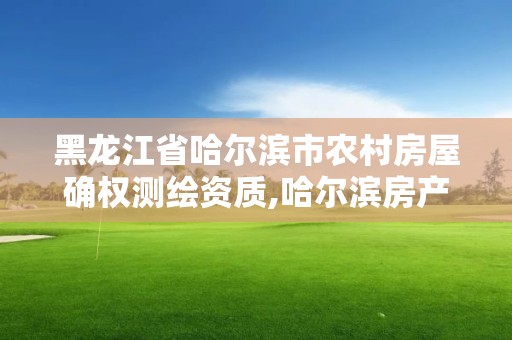 黑龍江省哈爾濱市農村房屋確權測繪資質,哈爾濱房產測繪公司電話