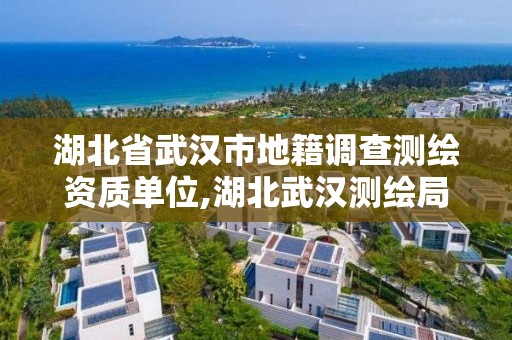 湖北省武漢市地籍調查測繪資質單位,湖北武漢測繪局。