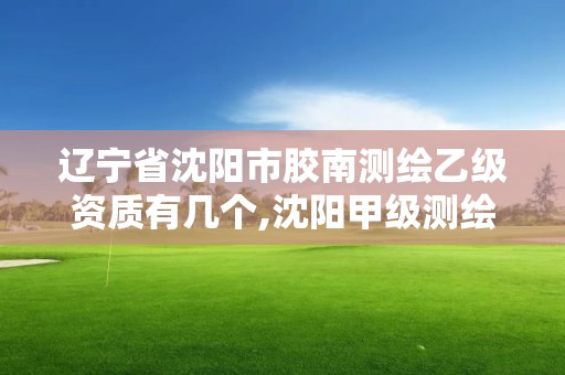 遼寧省沈陽市膠南測繪乙級資質有幾個,沈陽甲級測繪公司