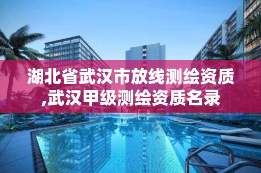 湖北省武漢市放線測繪資質,武漢甲級測繪資質名錄