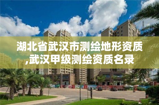 湖北省武漢市測繪地形資質,武漢甲級測繪資質名錄