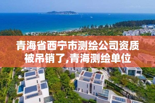 青海省西寧市測繪公司資質被吊銷了,青海測繪單位