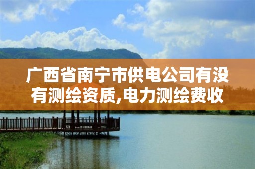 廣西省南寧市供電公司有沒有測繪資質,電力測繪費收費標準。