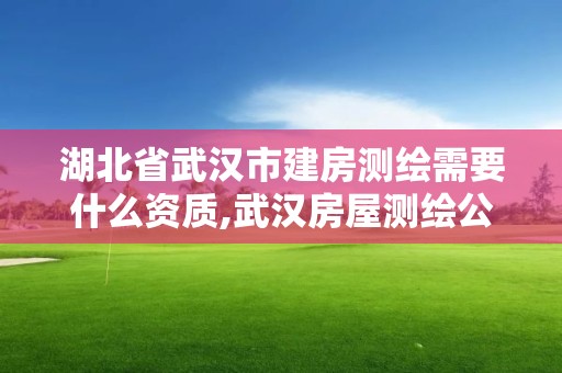 湖北省武漢市建房測(cè)繪需要什么資質(zhì),武漢房屋測(cè)繪公司。