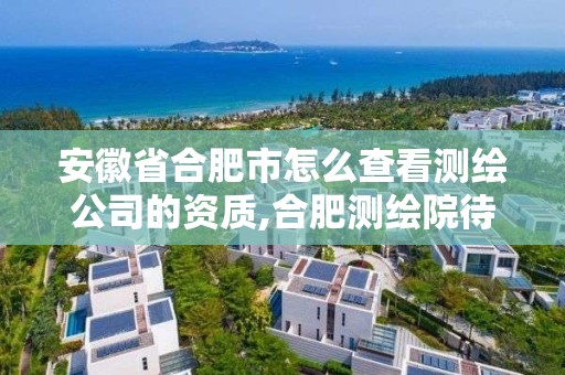 安徽省合肥市怎么查看測(cè)繪公司的資質(zhì),合肥測(cè)繪院待遇怎么樣。