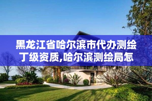 黑龍江省哈爾濱市代辦測繪丁級資質,哈爾濱測繪局怎么樣