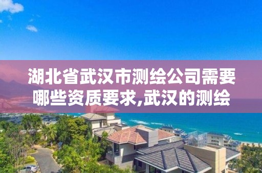 湖北省武漢市測繪公司需要哪些資質要求,武漢的測繪公司。