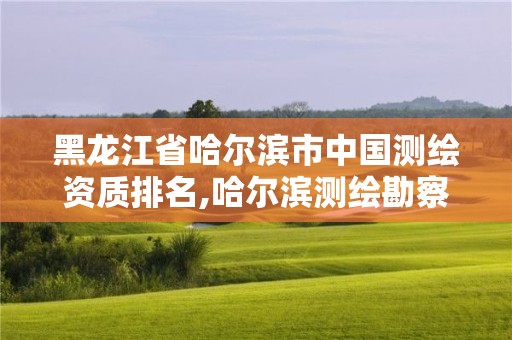 黑龍江省哈爾濱市中國測繪資質(zhì)排名,哈爾濱測繪勘察研究院怎么樣