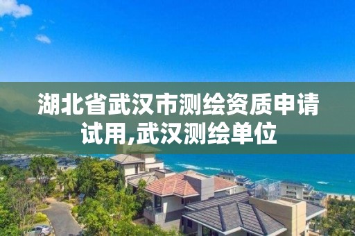 湖北省武漢市測繪資質申請試用,武漢測繪單位