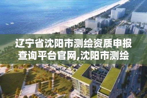 遼寧省沈陽市測繪資質申報查詢平臺官網,沈陽市測繪院電話。