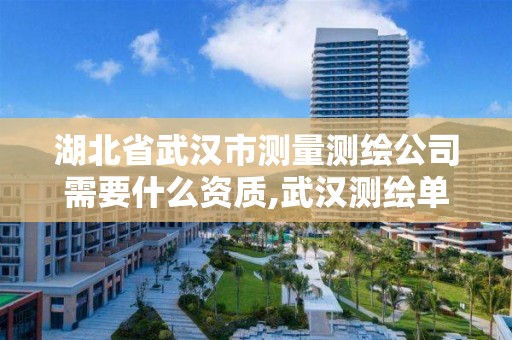 湖北省武漢市測量測繪公司需要什么資質(zhì),武漢測繪單位。