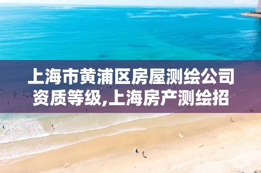 上海市黃浦區房屋測繪公司資質等級,上海房產測繪招聘