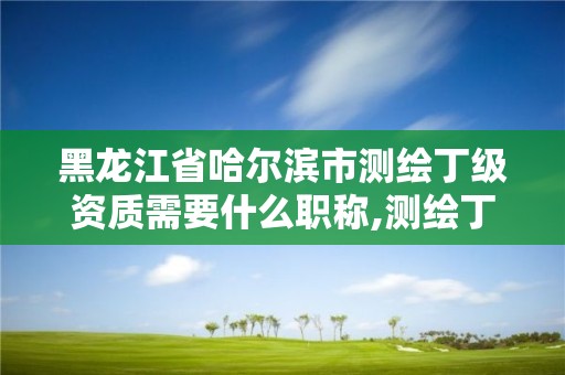 黑龍江省哈爾濱市測繪丁級資質需要什么職稱,測繪丁級資質承接范圍。