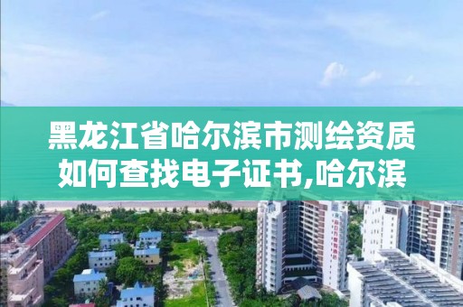 黑龍江省哈爾濱市測繪資質(zhì)如何查找電子證書,哈爾濱測繪局在哪