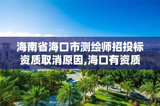 海南省海口市測繪師招投標資質取消原因,海口有資質的測繪公司。