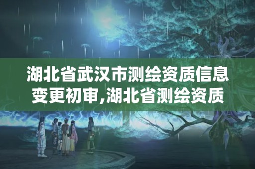 湖北省武漢市測繪資質信息變更初審,湖北省測繪資質管理系統