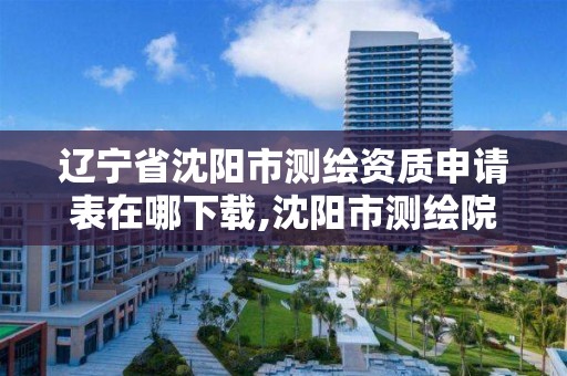 遼寧省沈陽市測繪資質申請表在哪下載,沈陽市測繪院是什么單位。