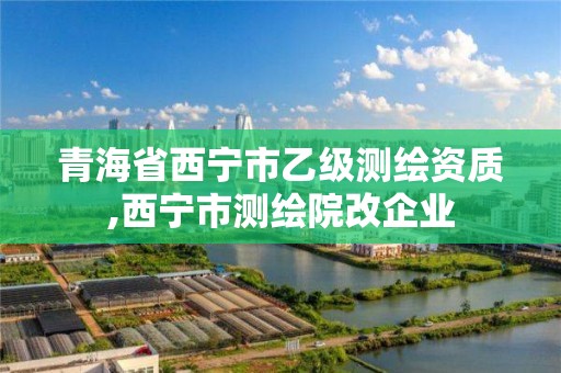 青海省西寧市乙級測繪資質,西寧市測繪院改企業(yè)