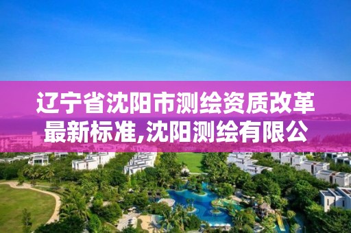 遼寧省沈陽市測繪資質改革最新標準,沈陽測繪有限公司