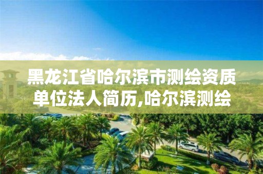 黑龍江省哈爾濱市測繪資質單位法人簡歷,哈爾濱測繪局是干什么的