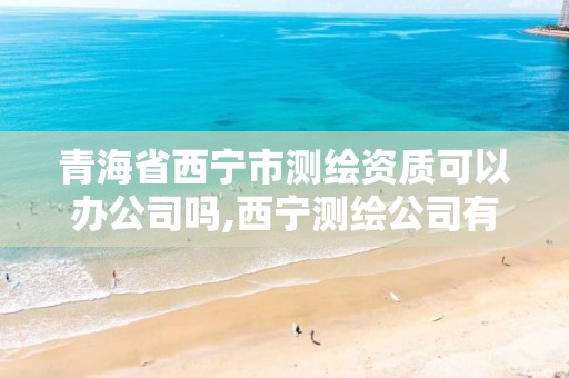 青海省西寧市測繪資質(zhì)可以辦公司嗎,西寧測繪公司有哪些