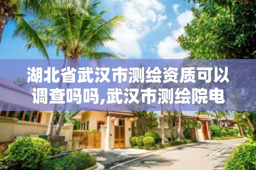 湖北省武漢市測繪資質(zhì)可以調(diào)查嗎嗎,武漢市測繪院電話。