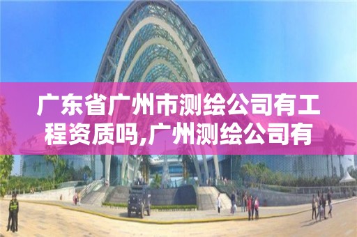 廣東省廣州市測繪公司有工程資質嗎,廣州測繪公司有哪些