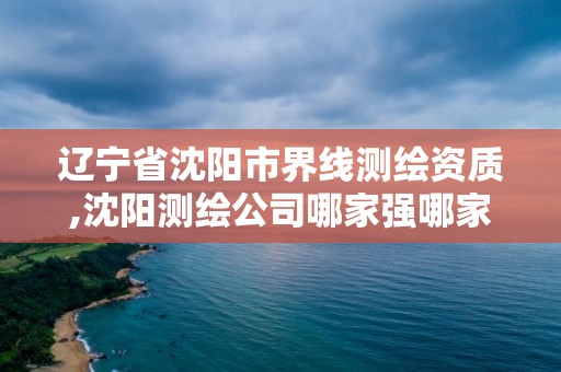 遼寧省沈陽市界線測繪資質,沈陽測繪公司哪家強哪家好