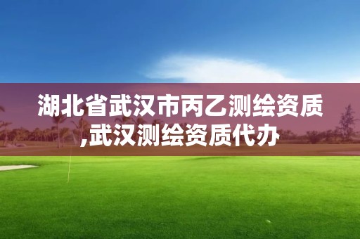 湖北省武漢市丙乙測繪資質,武漢測繪資質代辦